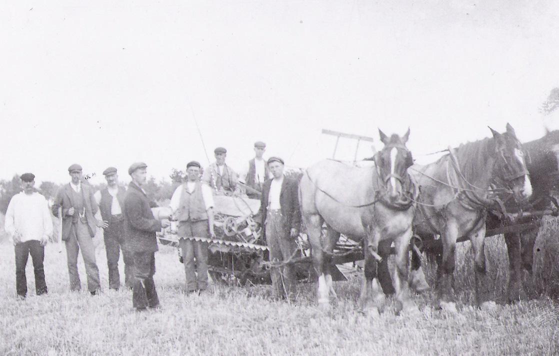 Undated - Farming Scene 5